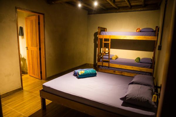 1146img-20250327-wa0002