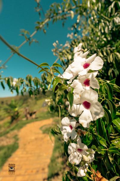 mundo_de_oz_2025-1539