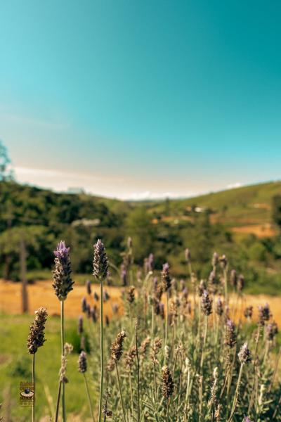 mundo_de_oz_2025-1549