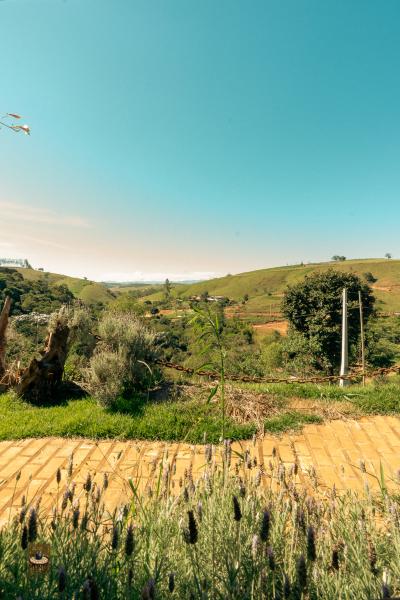 mundo_de_oz_2025-1571