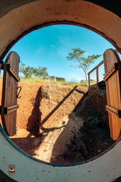 mundo_de_oz_2025-1639