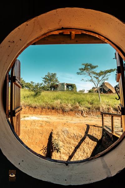 mundo_de_oz_2025-1654